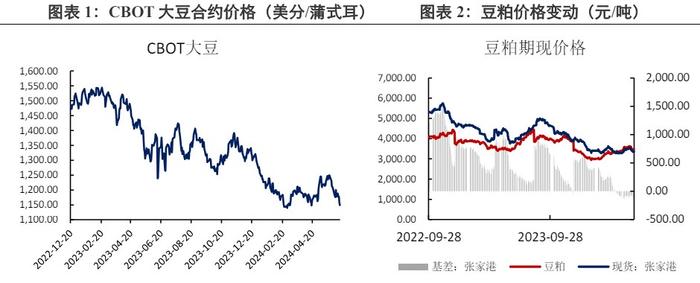 豆粕跟随外盘变动 价格延续震荡运行