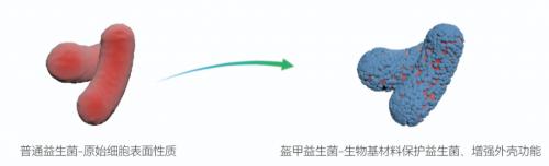 中科嘉亿与四川大学郭俊凌教授团队签约仪式成功举办