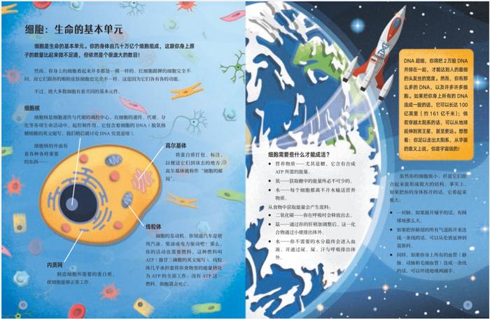 从“万物大宇宙”到“人体小宇宙”，一场“惊掉下巴”的科学之旅