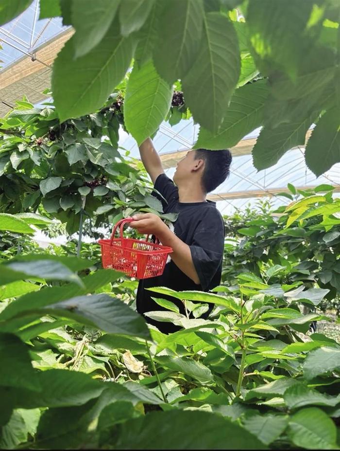 徐兆飞在果园里种出一条致富路