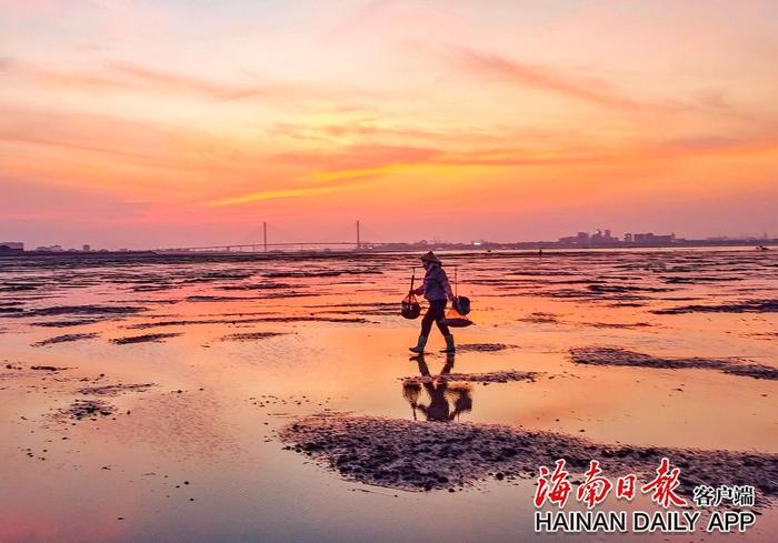 自贸港影像志⑰｜仲夏霞光醉海南-新闻中心