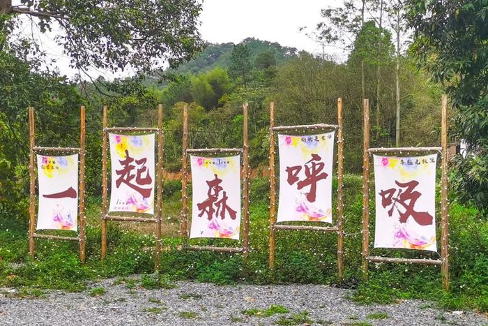 🤩🤩🤩城堡酒店、咖啡学堂！高要这条示范带还可以这样玩→