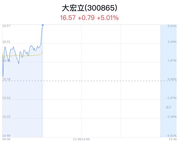 大宏立股价上涨5.01% 主力净流出21万元