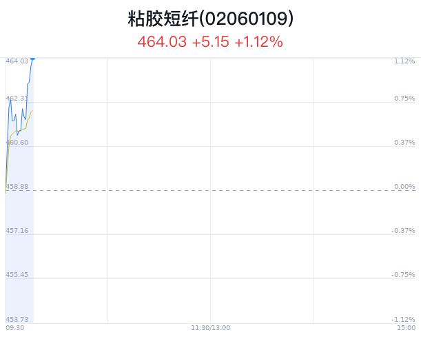 粘胶短纤概念盘中拉升，新乡化纤涨2.91%