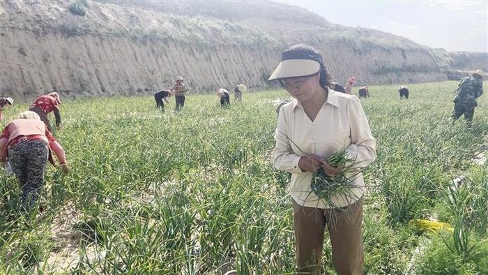 徐兆飞在果园里种出一条致富路