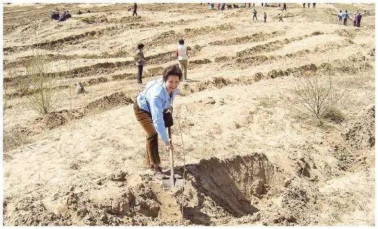 用22年种树1000万棵，《走向风沙》记录让沙漠变绿洲的“大地妈妈”！