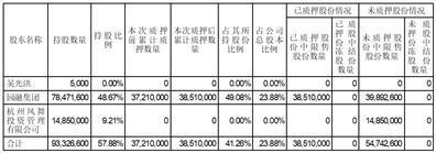 证券代码：605303    证券简称：园林股份    公告编号：2024-035