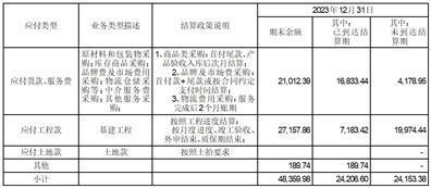 证券代码：600696    证券简称：岩石股份    公告编号：2024－046