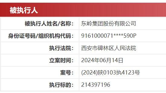 东岭集团新增被执行3.21亿