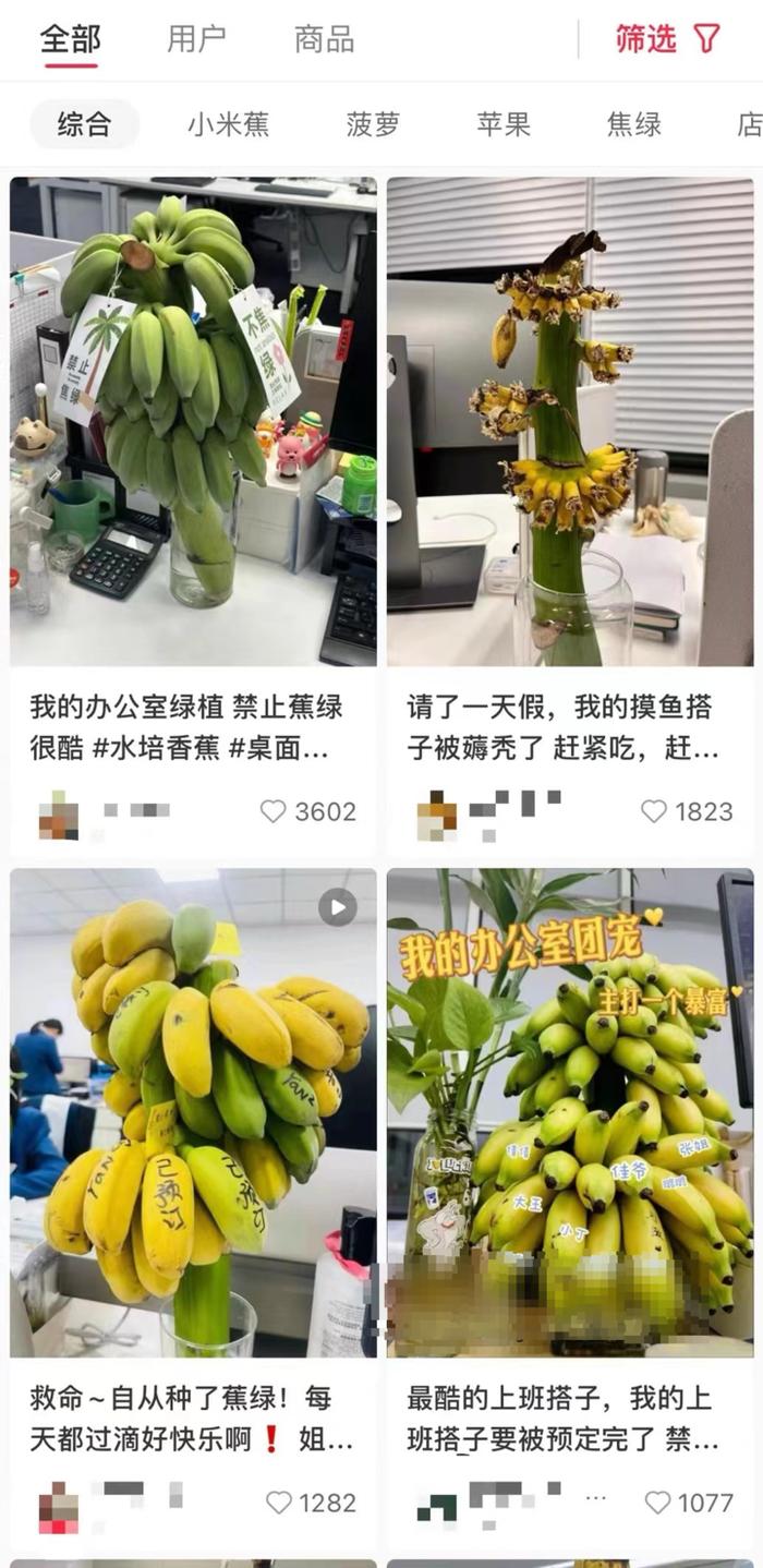 “不焦绿”热销10万单 “一串香蕉”如何火遍全网