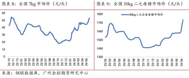 广金期货生猪周报：养殖端情绪调整，猪价有所回调 20240615