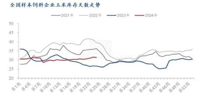 饲料企业大规模采购新麦 玉米采购情绪受到限制