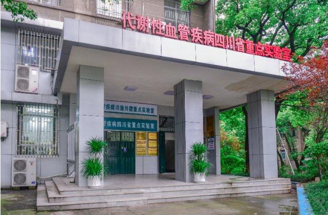 唱响“双城记” 打造增长极丨川渝共建重点实验室，半年来成色如何？