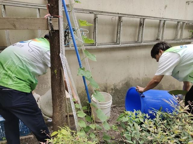 翻盆倒罐清积水，宝山这里集中整治社区环境