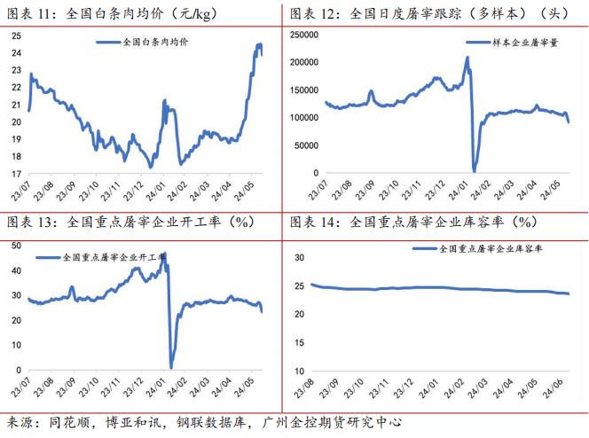 广金期货生猪周报：养殖端情绪调整，猪价有所回调 20240615