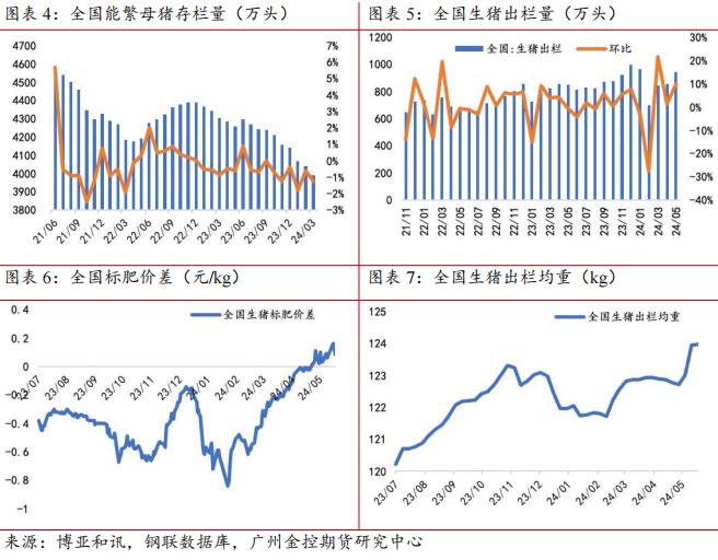 广金期货生猪周报：养殖端情绪调整，猪价有所回调 20240615