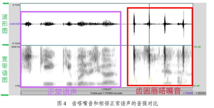 为什么“嘬嘬嘬”是全国统一的叫狗方式？