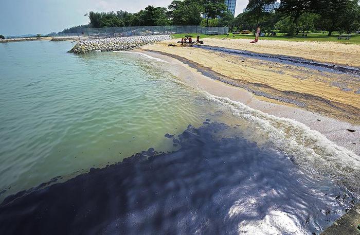 新加坡多个海滩蒙油污