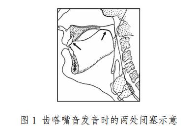 为什么“嘬嘬嘬”是全国统一的叫狗方式？