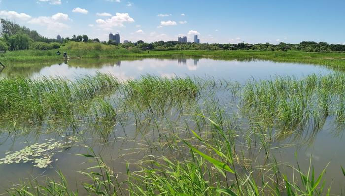 哈尔滨“国际湿地城市”招牌“含金量”足