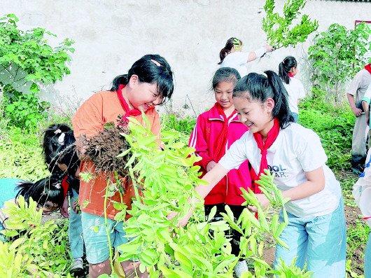 薛城区周营镇中心小学开展劳动实践活动