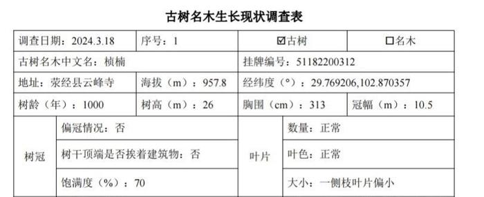 超高龄！这有份约1000岁古树的“体检报告”