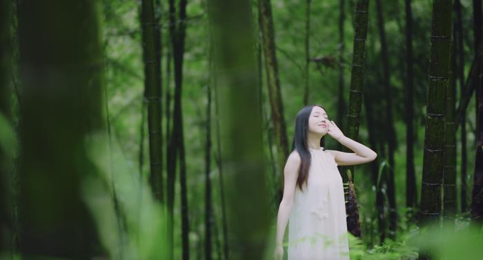 夏至，万物奏鸣在夏日的节气里