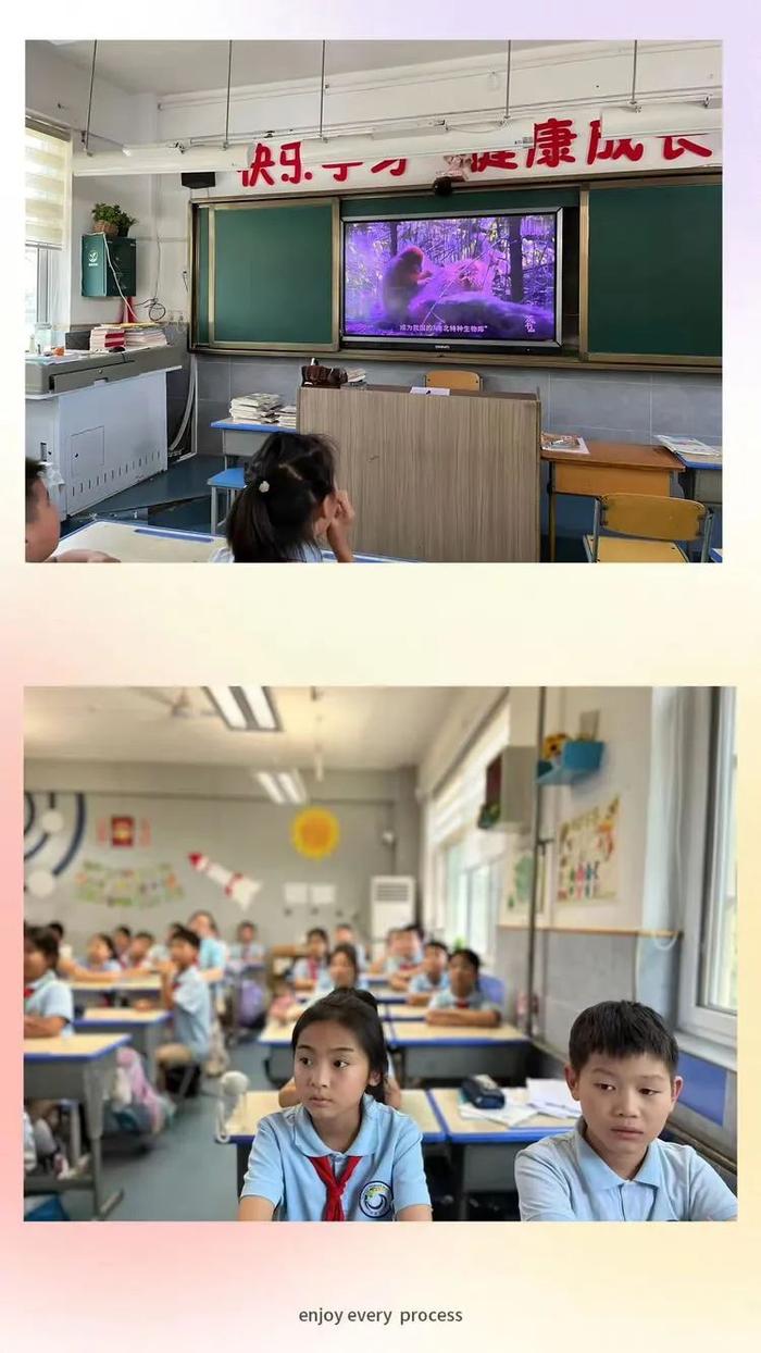 灞桥区宇航小学开展秦岭保护宣传教育活动