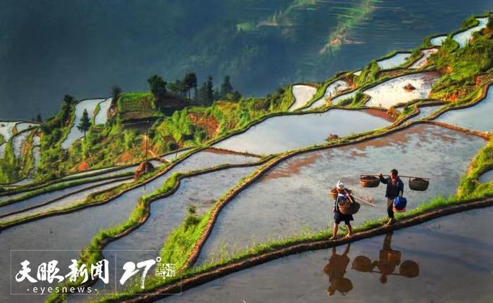 夏至，万物奏鸣在夏日的节气里