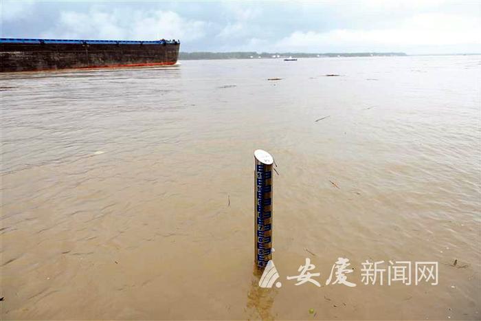 一天内上涨0.45米长江安庆站水位创入汛单日最高涨幅