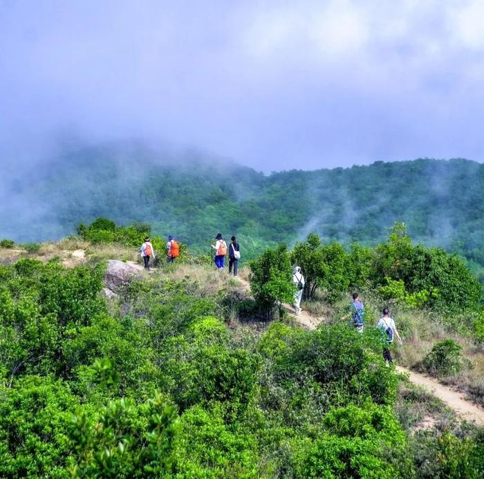 夏至 | 因为是你的“深圳打卡地”，才会用心呵护呀