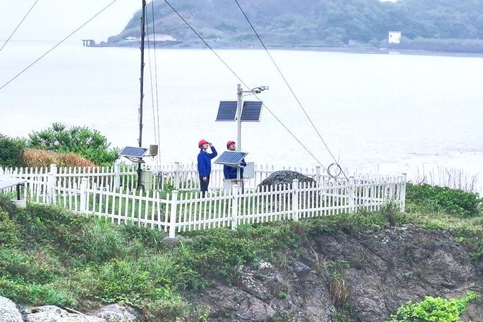 绿电方舟公益项目案例分享丨浙江舟山：飞越山海 “神鸟”归来