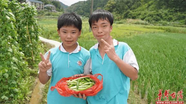 怀化市实验中学举行劳动实践基地挂牌仪式