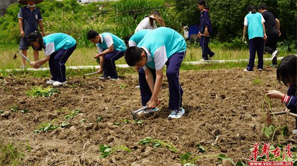 怀化市实验中学举行劳动实践基地挂牌仪式