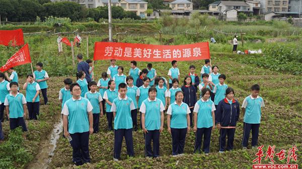 怀化市实验中学举行劳动实践基地挂牌仪式