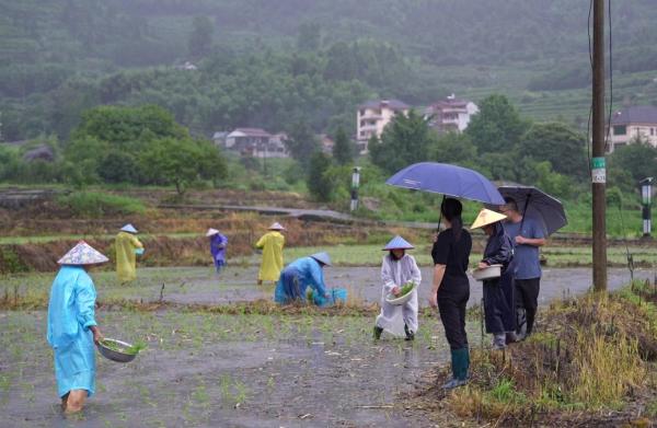 担当争先战洪流 | 丽水抗击梅雨强降雨灾害纪实