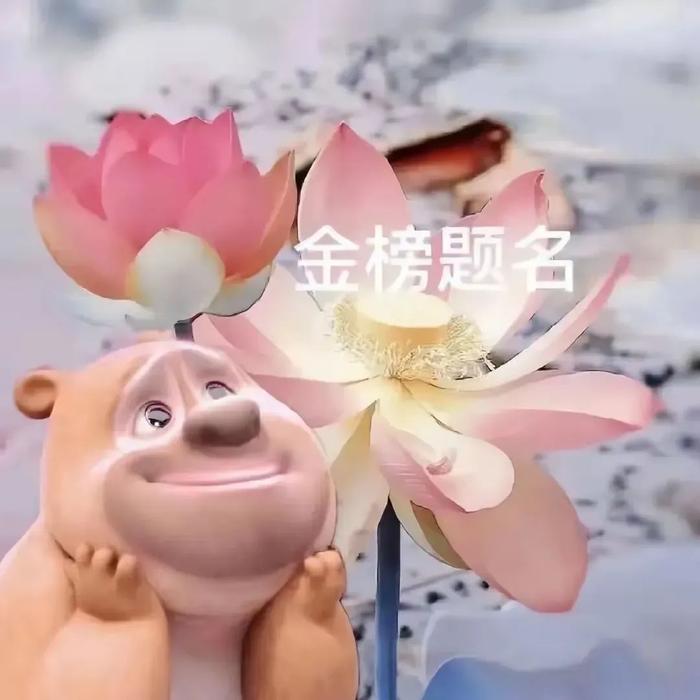 小布说天气 | 跟夏天拍个“荷”照，好运连连～