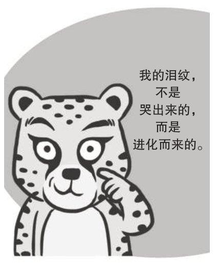 猎豹为什么有花纹？