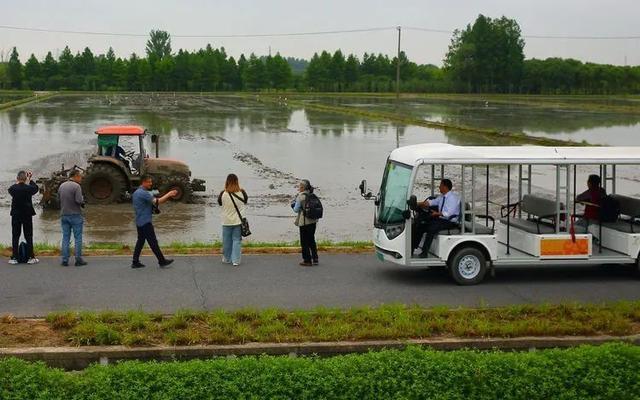 赛事征集进入倒计时！“绿色上海摄影节”采风走进嘉北郊野公园→