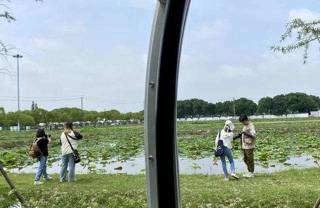 赛事征集进入倒计时！“绿色上海摄影节”采风走进嘉北郊野公园→