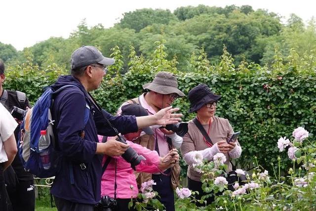 赛事征集进入倒计时！“绿色上海摄影节”采风走进嘉北郊野公园→