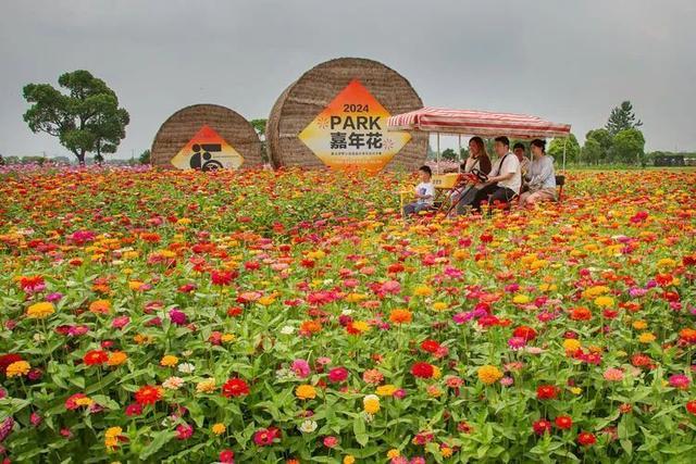 赛事征集进入倒计时！“绿色上海摄影节”采风走进嘉北郊野公园→