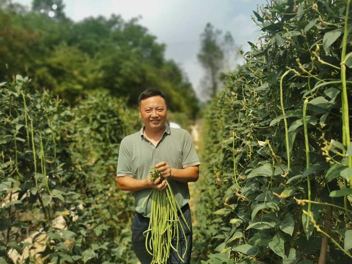 山乡巨变有我丨逐梦乡村