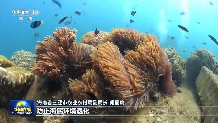 新思想引领新征程丨守护碧海蓝天 这是沿海地区的“答卷”