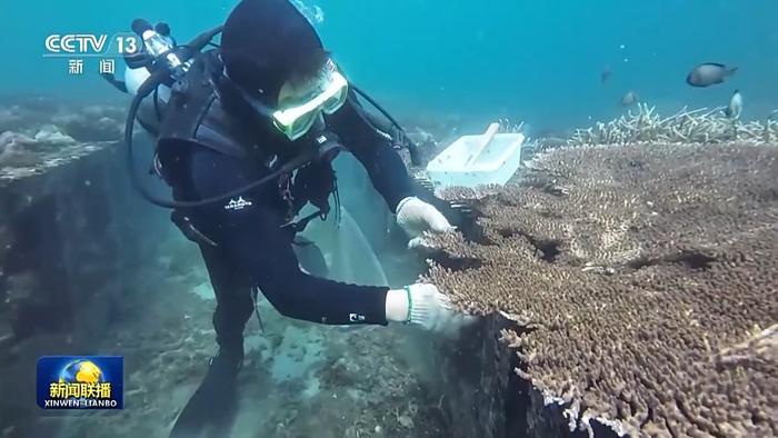 新思想引领新征程丨守护碧海蓝天 这是沿海地区的“答卷”