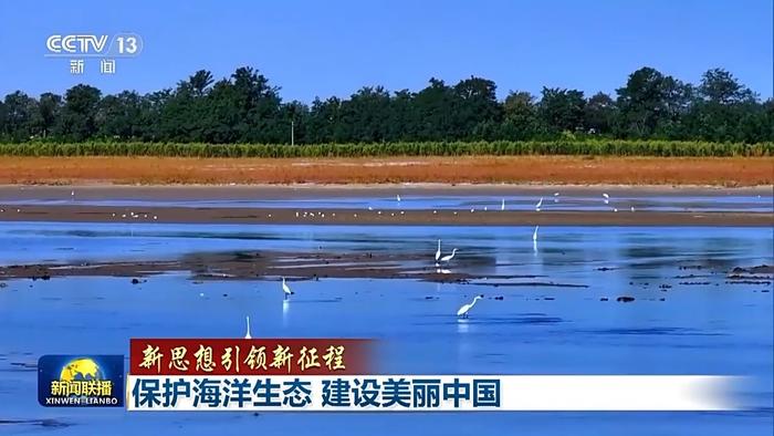 新思想引领新征程丨守护碧海蓝天 这是沿海地区的“答卷”