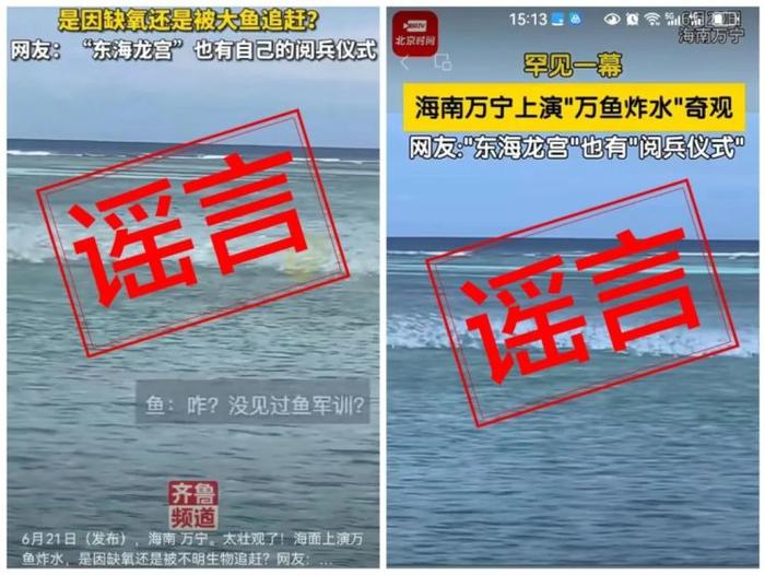 海南万宁海域出现“万鱼炸水”奇观？当地辟谣：拍摄地非万宁