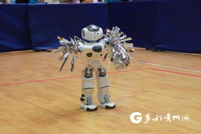 机器人同台竞技！36所高校在遵义师院展贵州“智造”风采