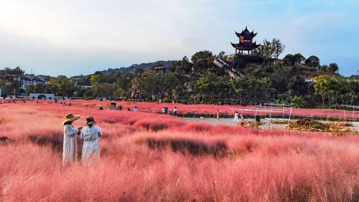 山乡巨变有我丨逐梦乡村