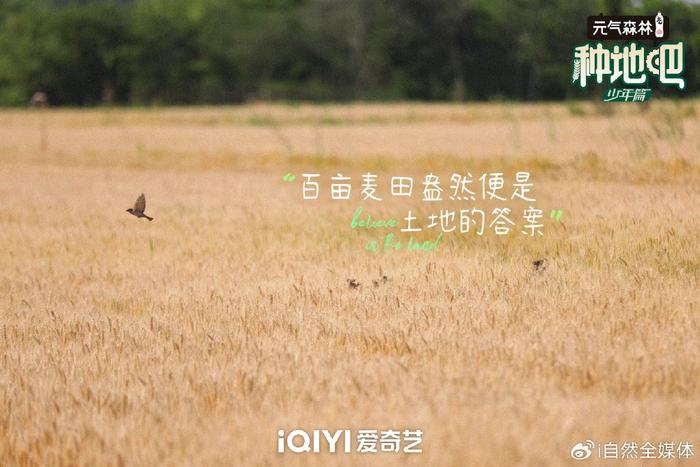 种地吧！给耕地最好的保护——对话《种地吧》节目总导演杨长岭